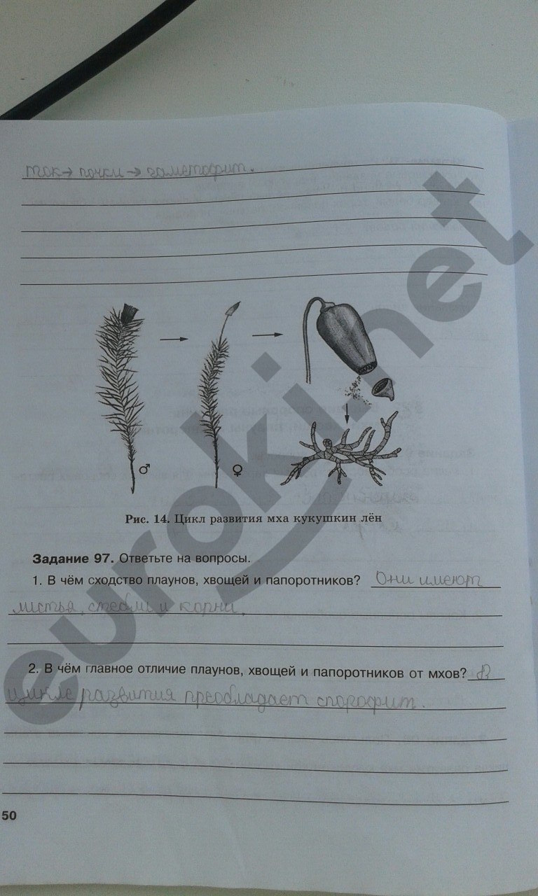 Рабочая тетрадь по биологии 6 класс. ФГОС Хрыпова, Житко Страница 50