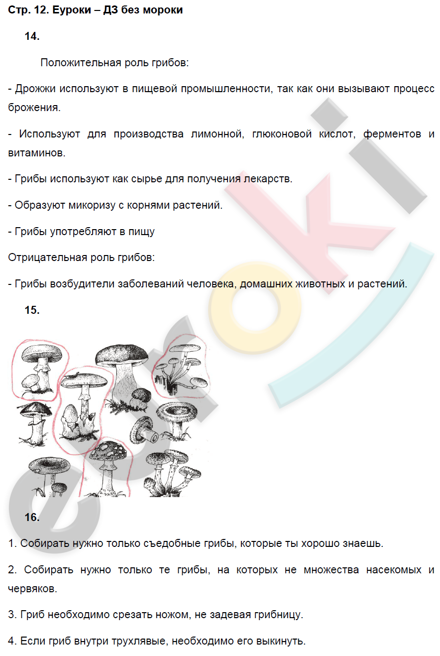 Рабочая тетрадь по биологии 7 класс. ФГОС Захаров, Сонин Страница 12