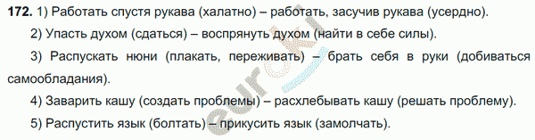 Русский язык 7 класс. ФГОС Разумовская Задание 172