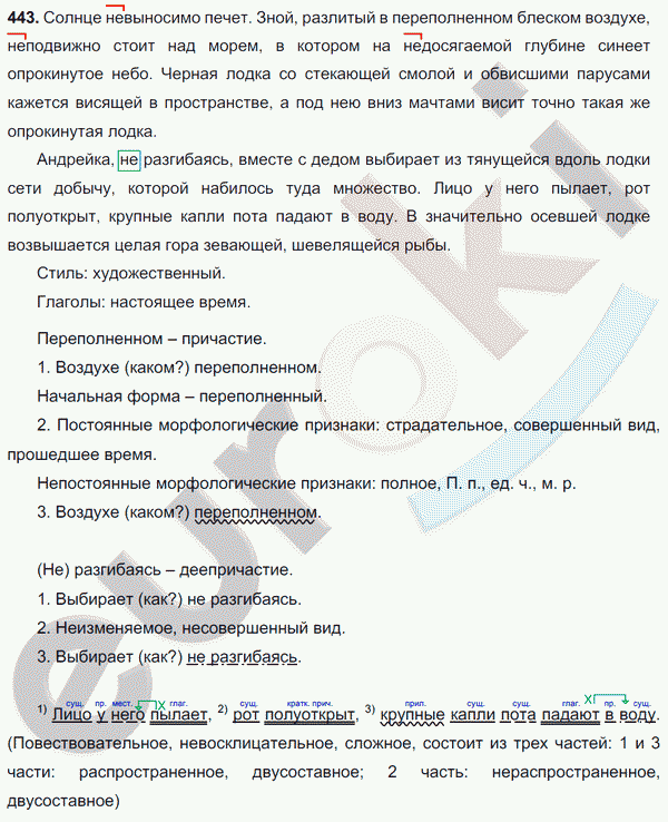 Русский язык 7 класс. ФГОС Баранов, Ладыженская Задание 443