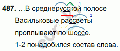 Русский язык 7 класс. ФГОС Баранов, Ладыженская Задание 487