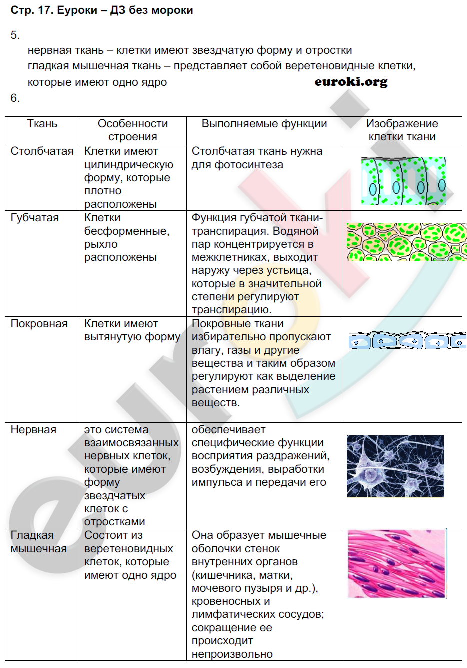 Рабочая тетрадь по биологии 9 класс Пономарева, Панина Страница 17