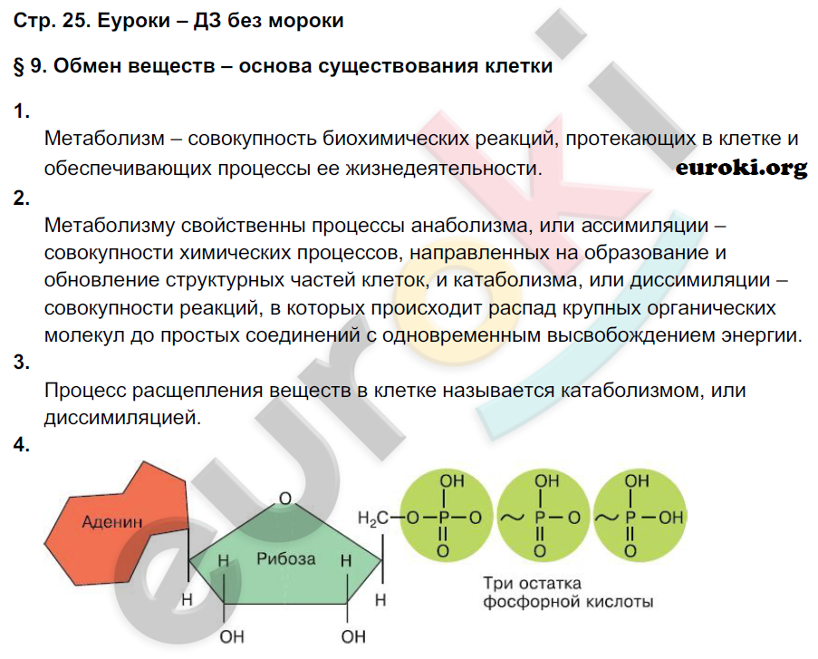 Рабочая тетрадь по биологии 9 класс Пономарева, Панина Страница 25