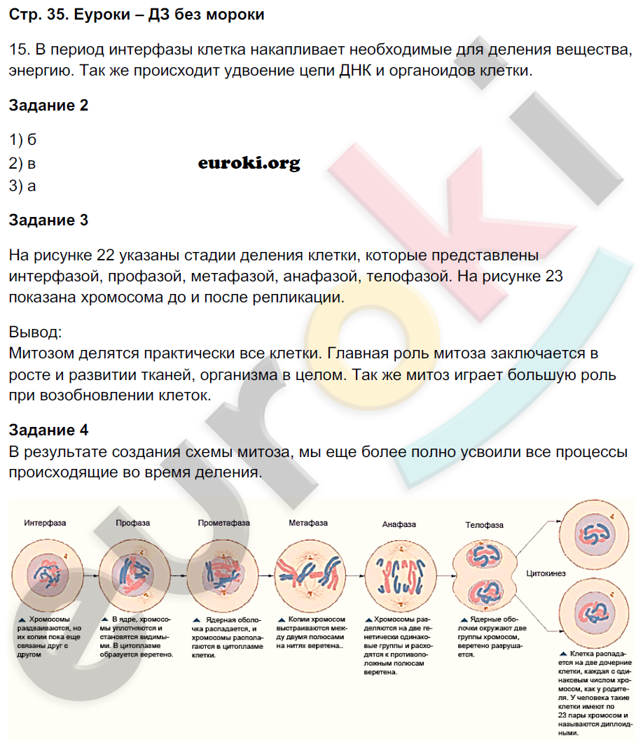 Рабочая тетрадь по биологии 9 класс Пономарева, Панина Страница 35
