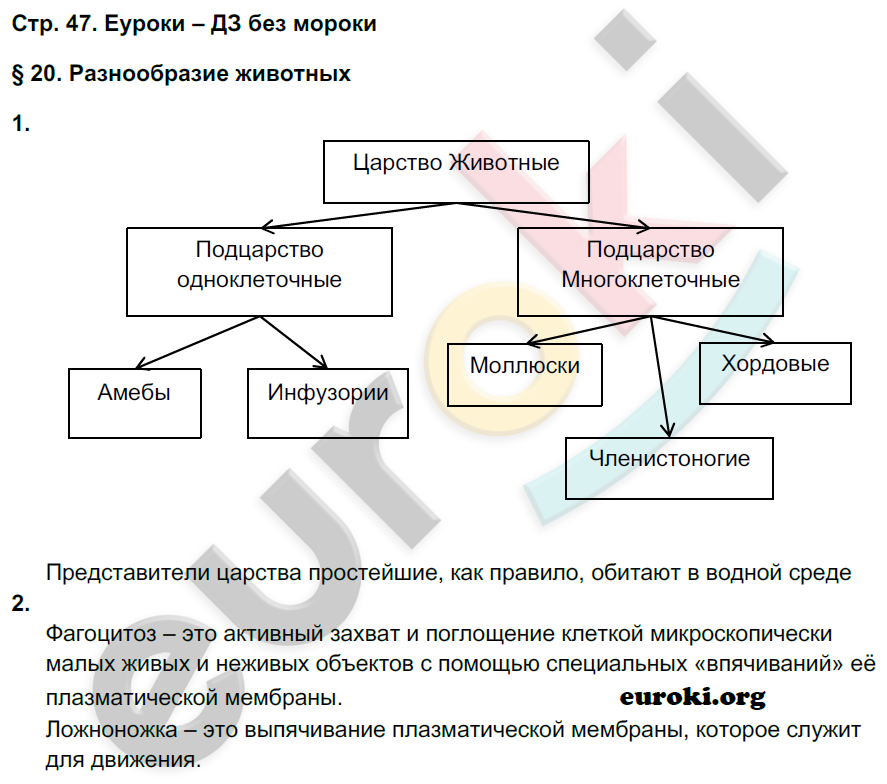 Рабочая тетрадь по биологии 9 класс Пономарева, Панина Страница 47
