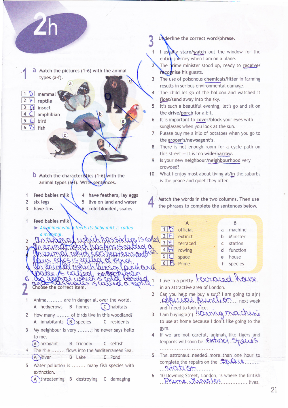 Рабочая тетрадь по английскому языку 9 класс. Spotlight 9: Workbook Ваулина, Дули Страница 21