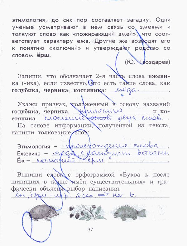 Рабочая тетрадь по русскому языку 4 класс Исаева Страница 37