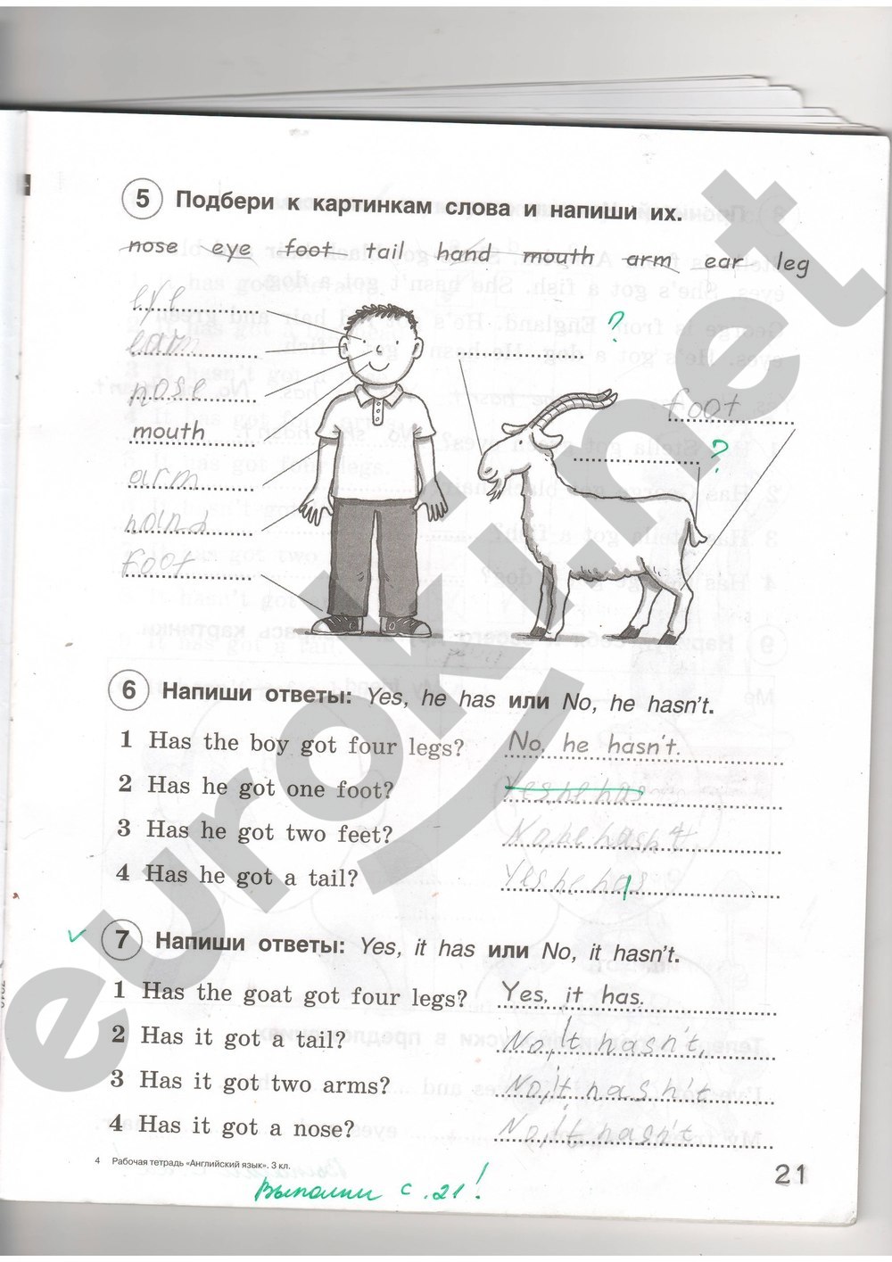 Рабочая тетрадь по английскому языку 4 класс. ФГОС Комарова, Ларионова Страница 21