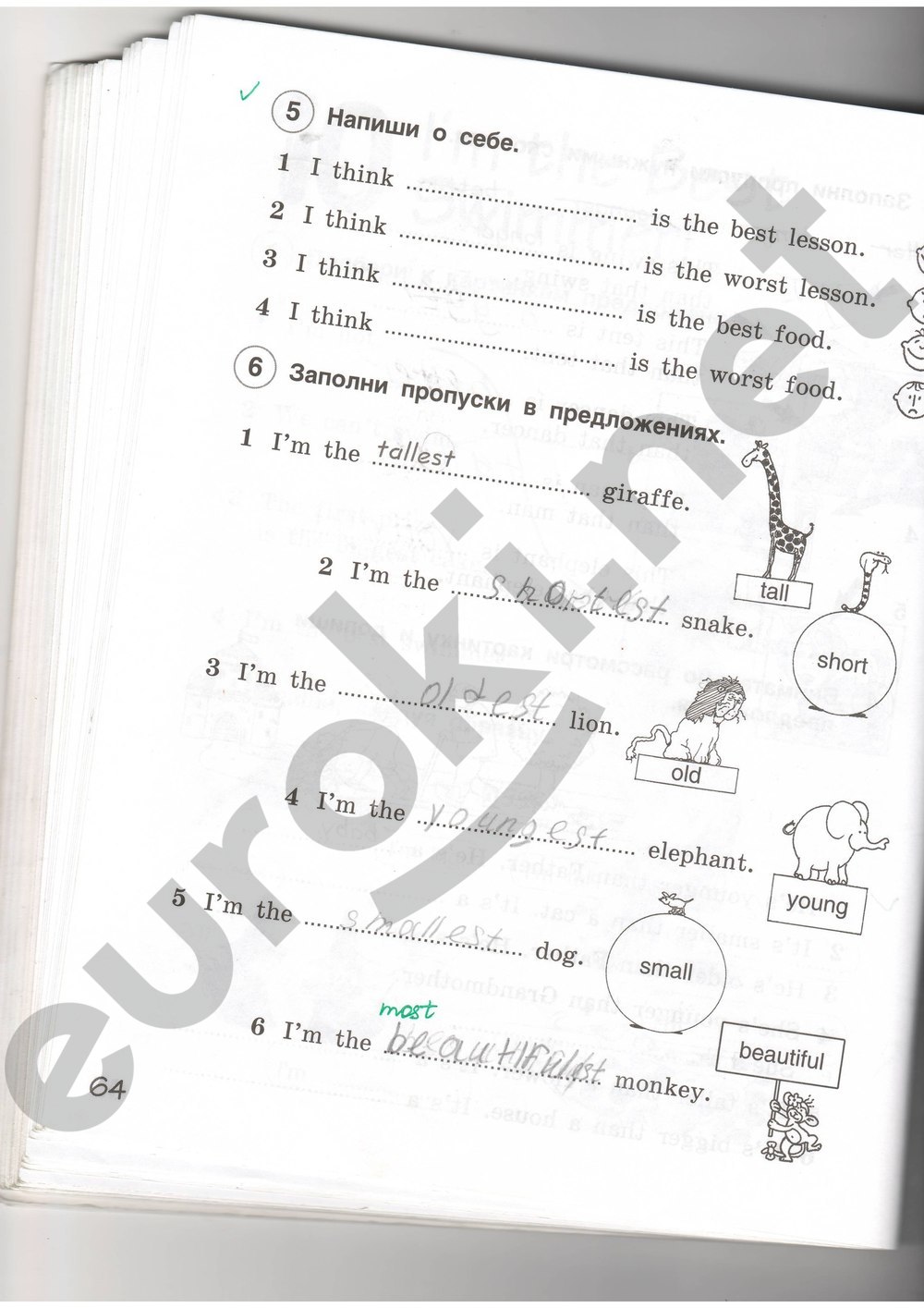 Рабочая тетрадь по английскому языку 4 класс. ФГОС Комарова, Ларионова Страница 64