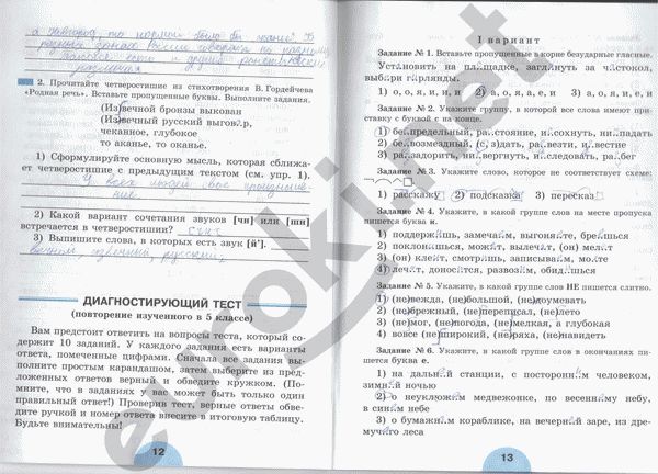 Рабочая тетрадь по русскому языку 6 класс. Часть 1, 2 Рыбченкова, Роговик Страница 13