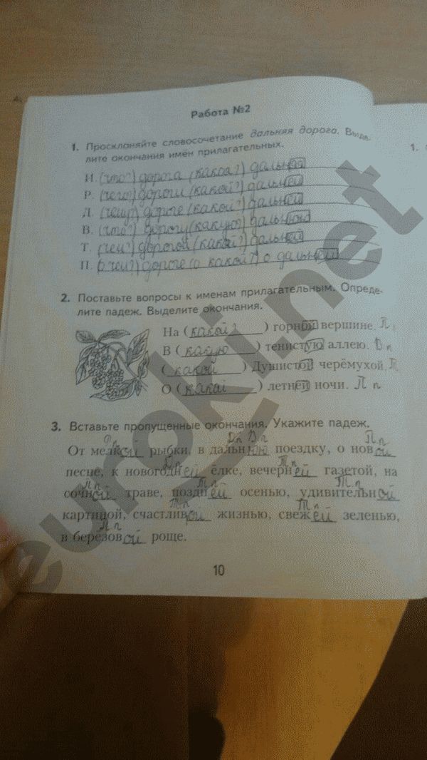 Рабочая тетрадь по русскому языку 4 класс. Часть 2 Моршнева Страница 10