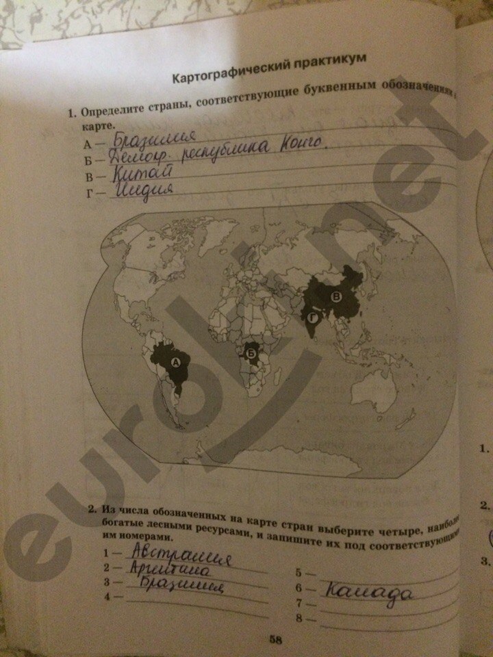 Рабочая тетрадь по географии 11 класс. Часть 1, 2. ФГОС Домогацких, Алексеевский Страница 58