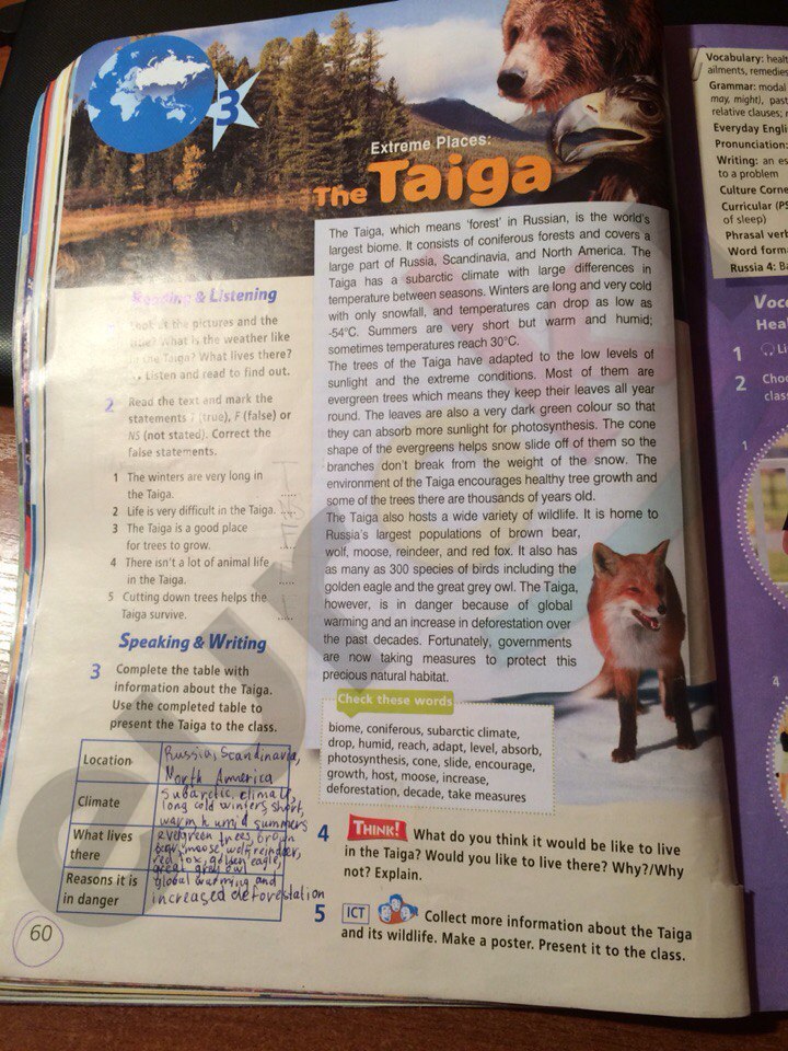 Starlight 7 перевод. Extreme places: the Taiga.. Английский язык 7 класс стр 60. To get to the Taiga. Read the Taiga.