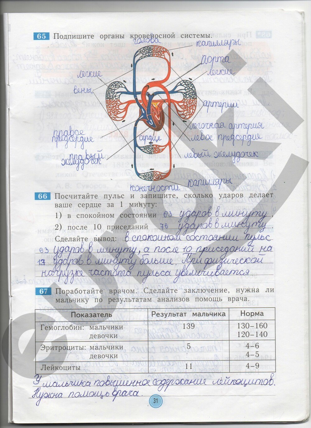 Рабочая тетрадь по окружающему миру 4 класс. ФГОС Дмитриева, Казаков Страница 31