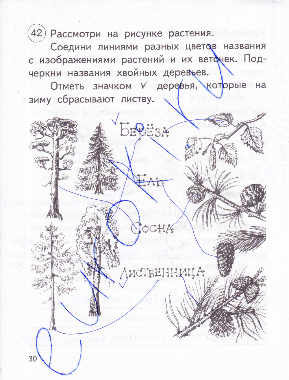 Рабочая тетрадь по окружающему миру 2 класс. Часть 1, 2. ФГОС Федотова, Трафимова Страница 30