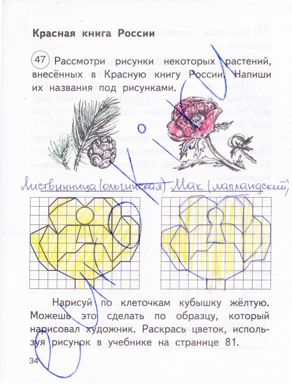 Рабочая тетрадь по окружающему миру 2 класс. Часть 1, 2. ФГОС Федотова, Трафимова Страница 34