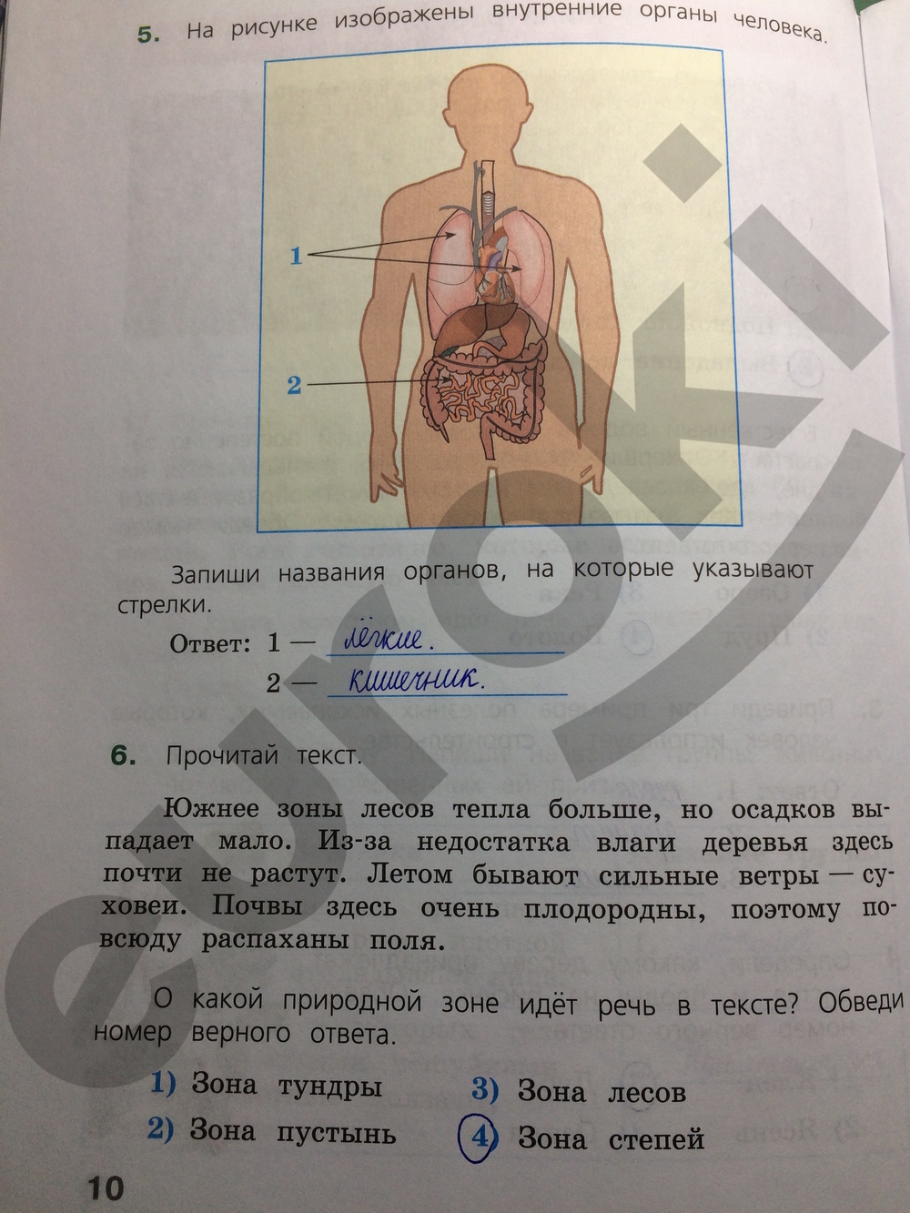 Окружающий мир 4 класс. Готовимся к Всероссийской проверочной работе. ФГОС Демидова Страница 10