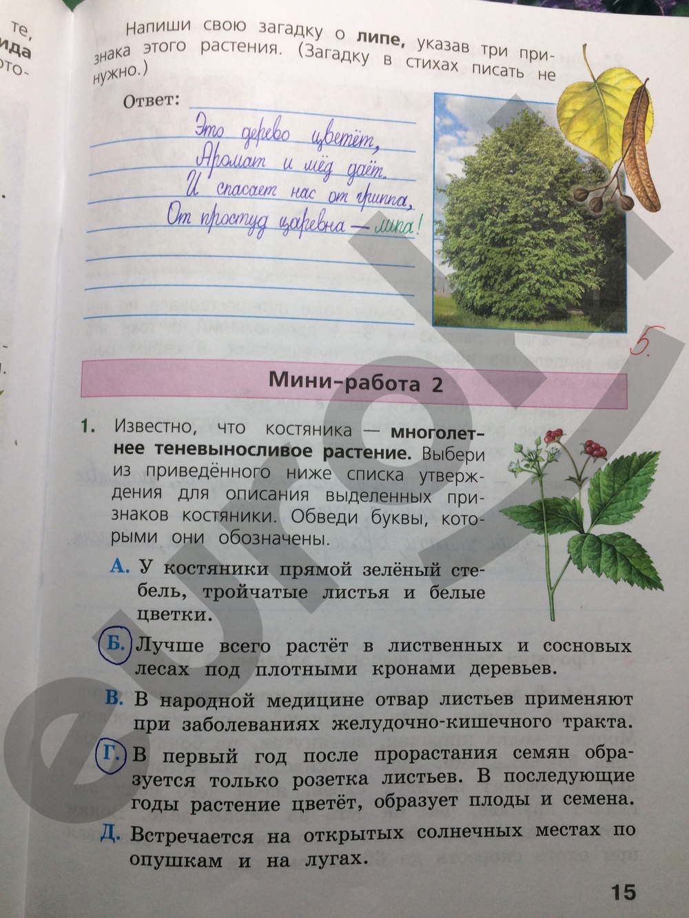 Окружающий мир 4 класс. Готовимся к Всероссийской проверочной работе. ФГОС Демидова Страница 15