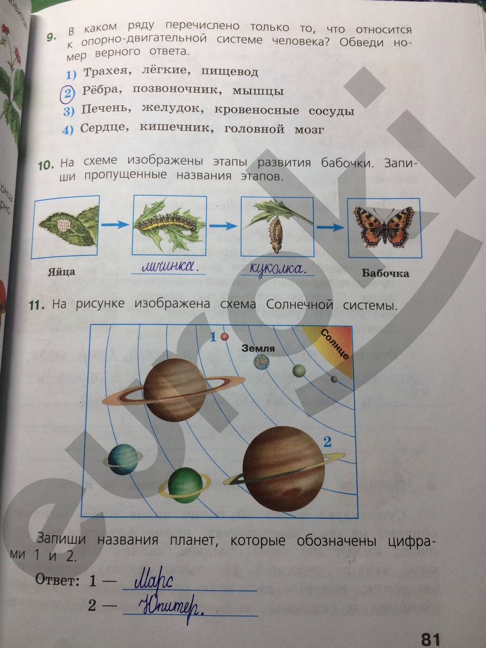 Окружающий мир 4 класс. Готовимся к Всероссийской проверочной работе. ФГОС Демидова Страница 81