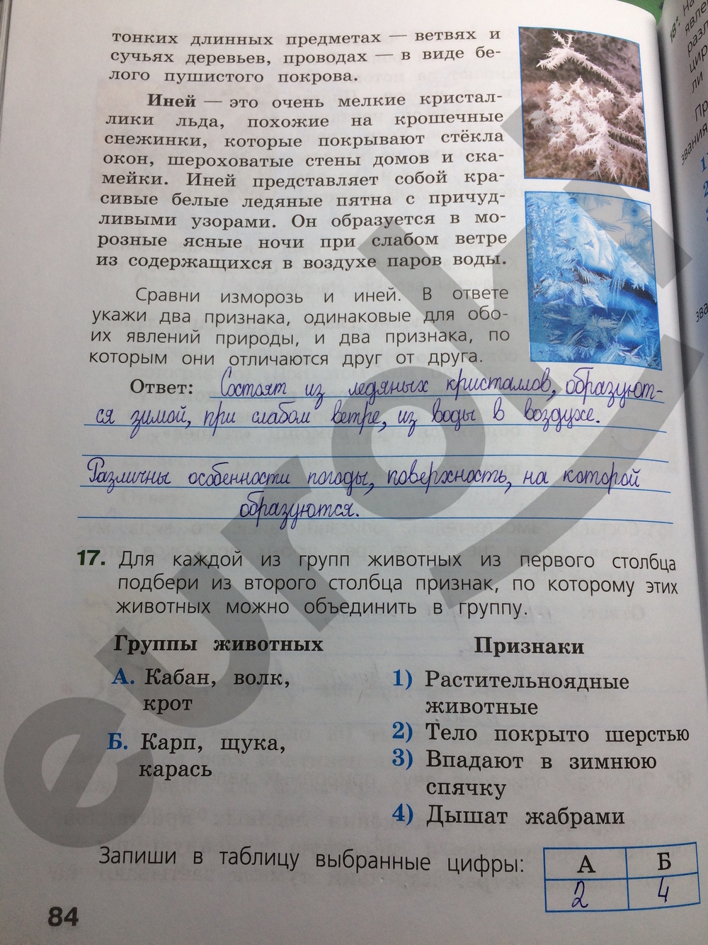 Окружающий мир 4 класс. Готовимся к Всероссийской проверочной работе. ФГОС Демидова Страница 84