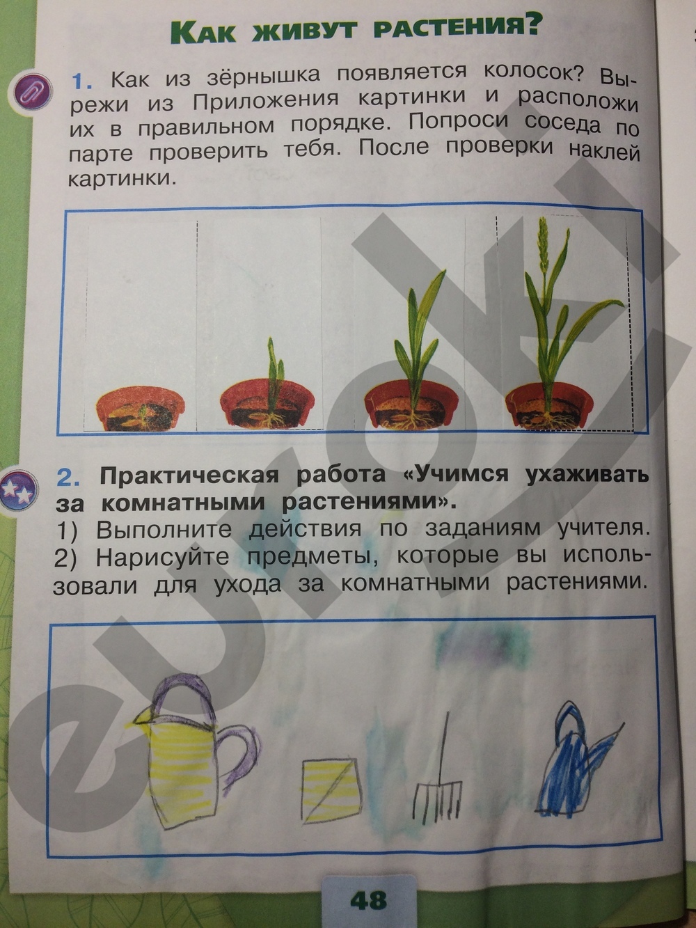 Рабочая тетрадь по окружающему миру 1 класс. Часть 1, 2. ФГОС Плешаков Страница 48