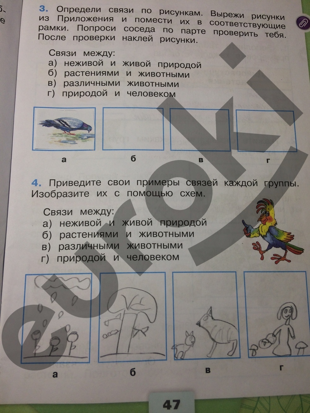 Рабочая тетрадь по окружающему миру 2 класс. Часть 1, 2. ФГОС Плешаков Страница 47