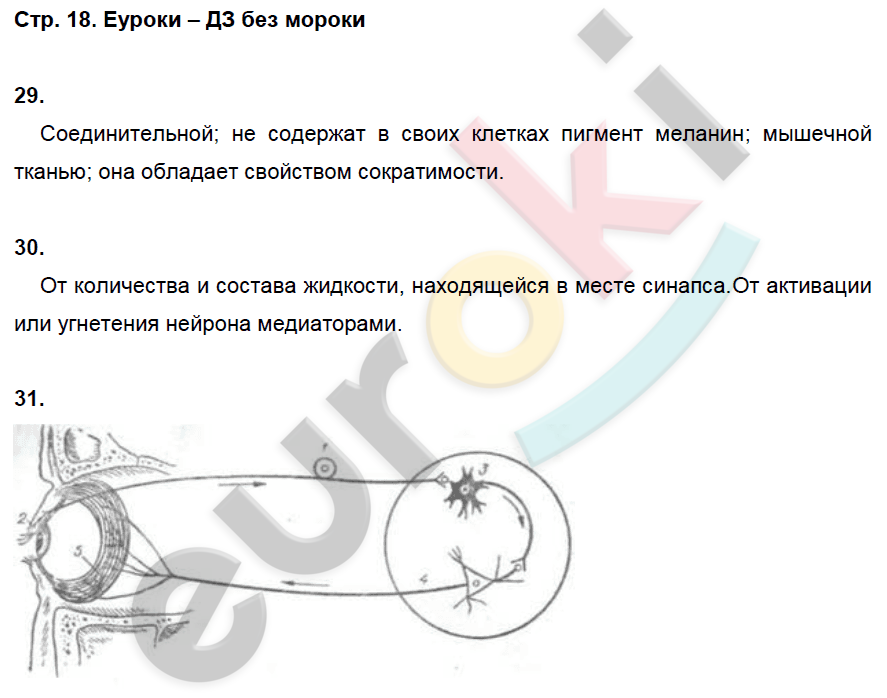 Биология 8 класс маш беляев рабочая. Гдз по биологии 8 класс лабораторная работа. Лабораторная работа по биологии 8 класс Колесов. Лабораторная работа по 8 класс по биологии Колесов. Лабораторная работа 2 по биологии 8 класс.