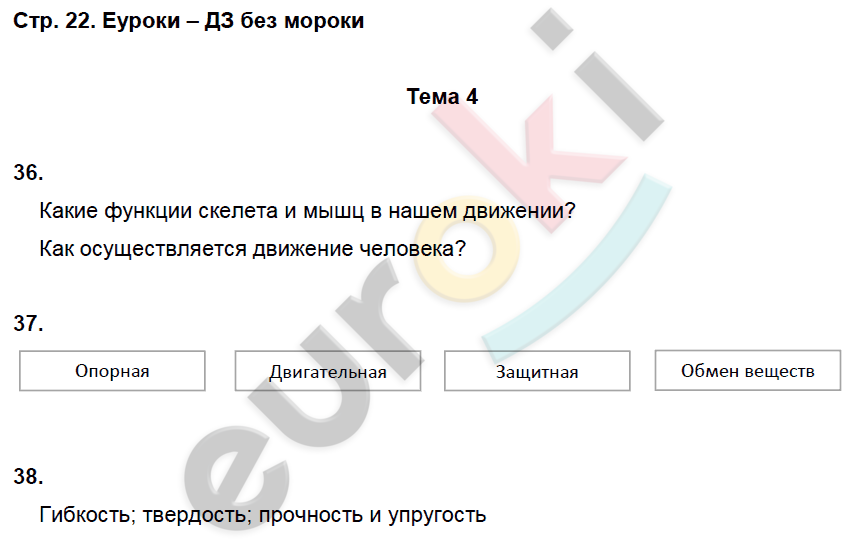 Рабочая тетрадь по биологии 8 класс. ФГОС Колесов, Маш, Беляев Страница 22