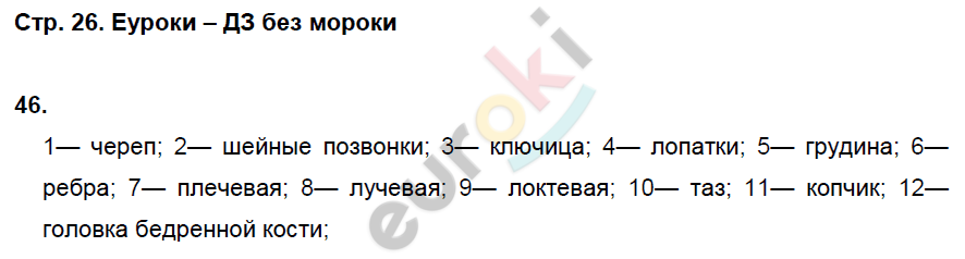 Рабочая тетрадь по биологии 8 класс. ФГОС Колесов, Маш, Беляев Страница 26