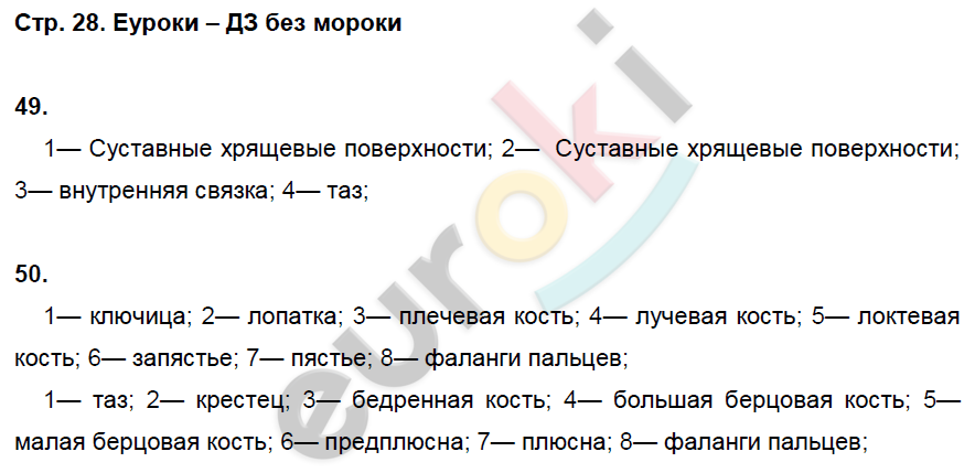 Рабочая тетрадь по биологии 8 класс. ФГОС Колесов, Маш, Беляев Страница 28