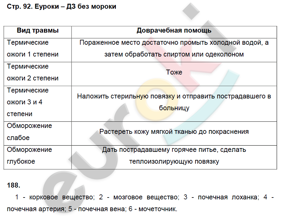 Рабочая тетрадь по биологии 8 класс. ФГОС Колесов, Маш, Беляев Страница 92