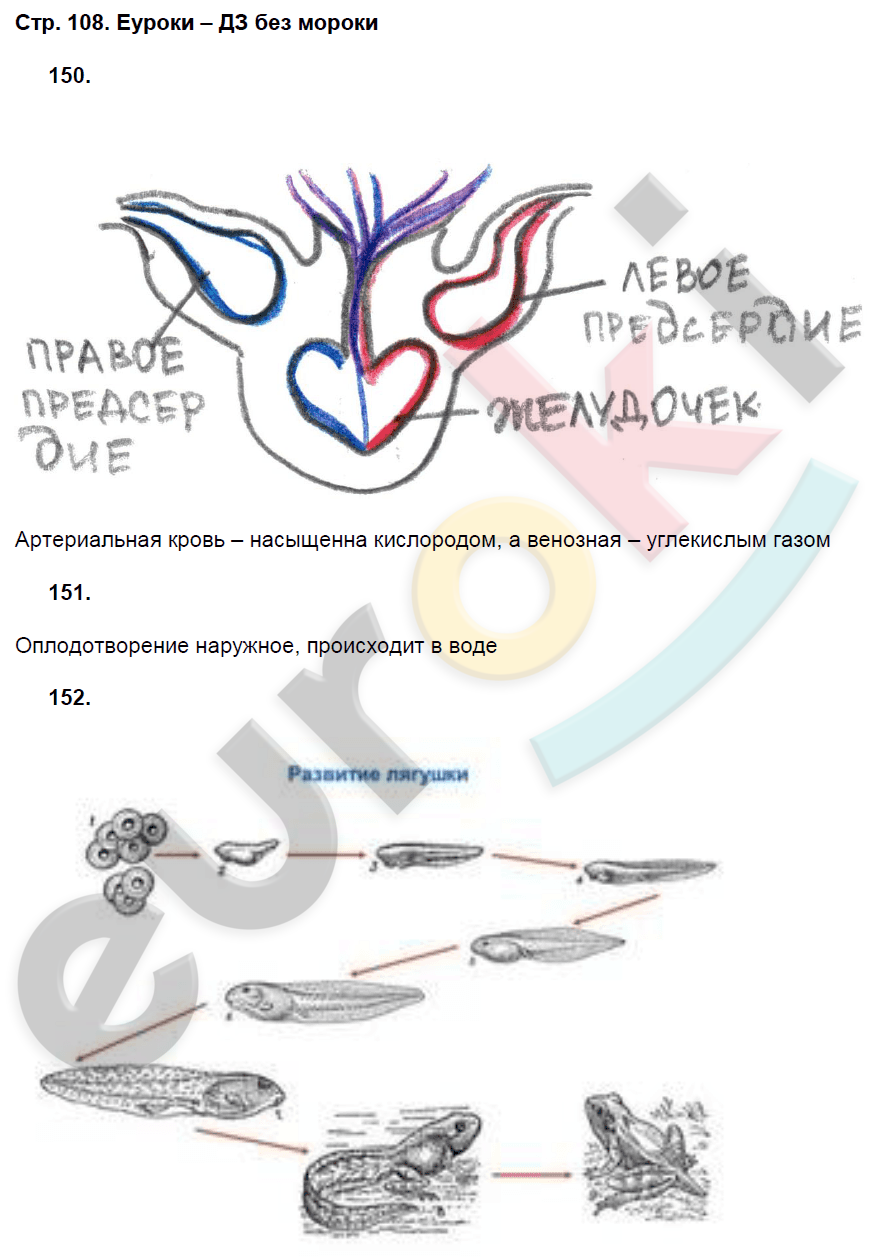 Рабочая тетрадь по биологии 7 класс. ФГОС Захаров, Сонин Страница 108