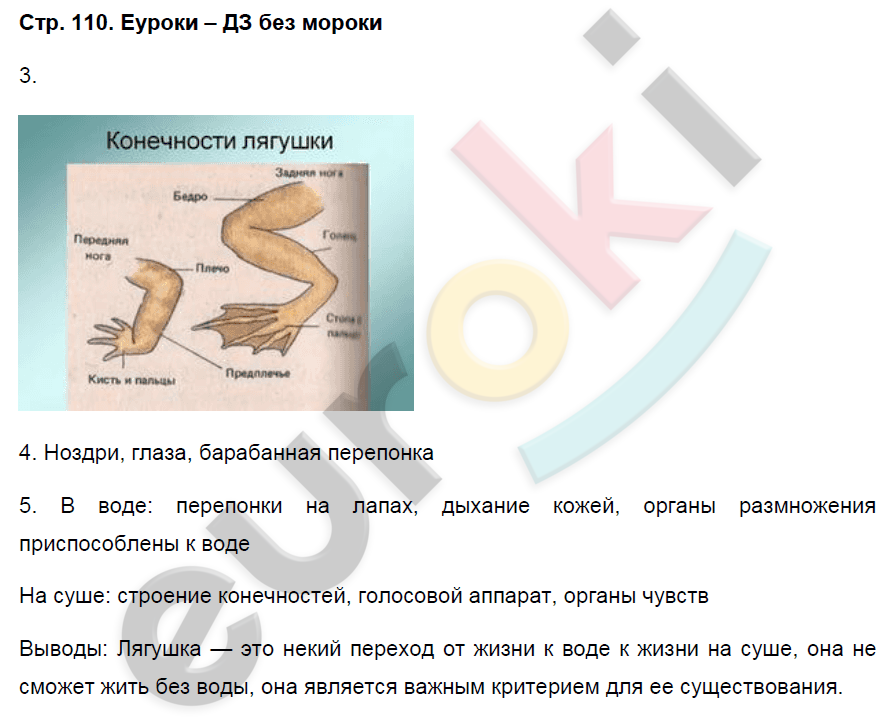 Рабочая тетрадь по биологии 7 класс. ФГОС Захаров, Сонин Страница 110