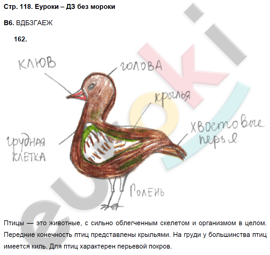 Рабочая тетрадь по биологии 7 класс. ФГОС Захаров, Сонин Страница 118