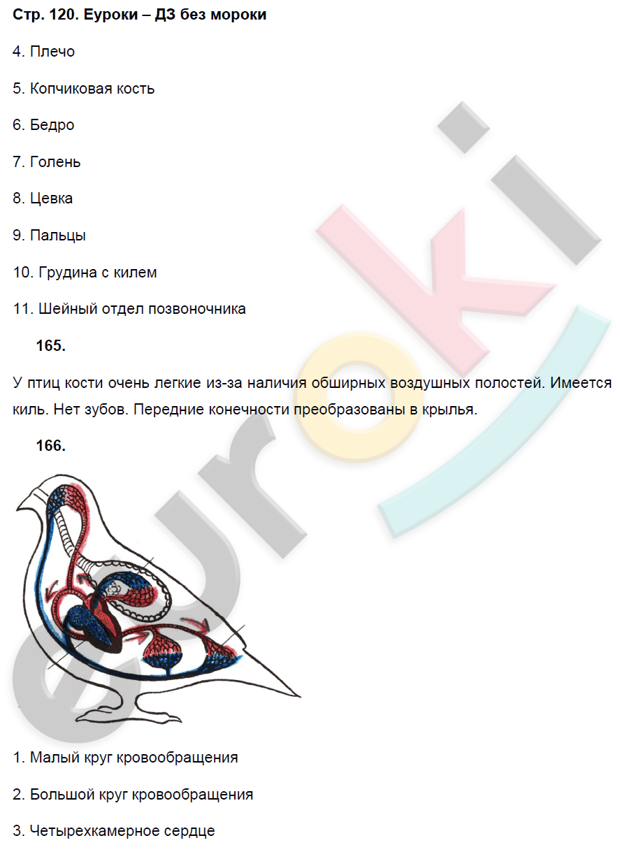 Рабочая тетрадь по биологии 7 класс. ФГОС Захаров, Сонин Страница 120