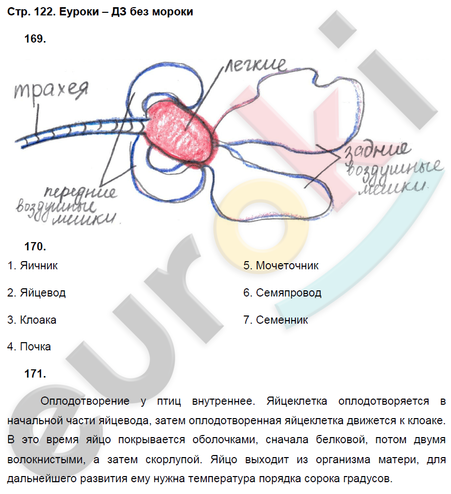 Рабочая тетрадь по биологии 7 класс. ФГОС Захаров, Сонин Страница 122