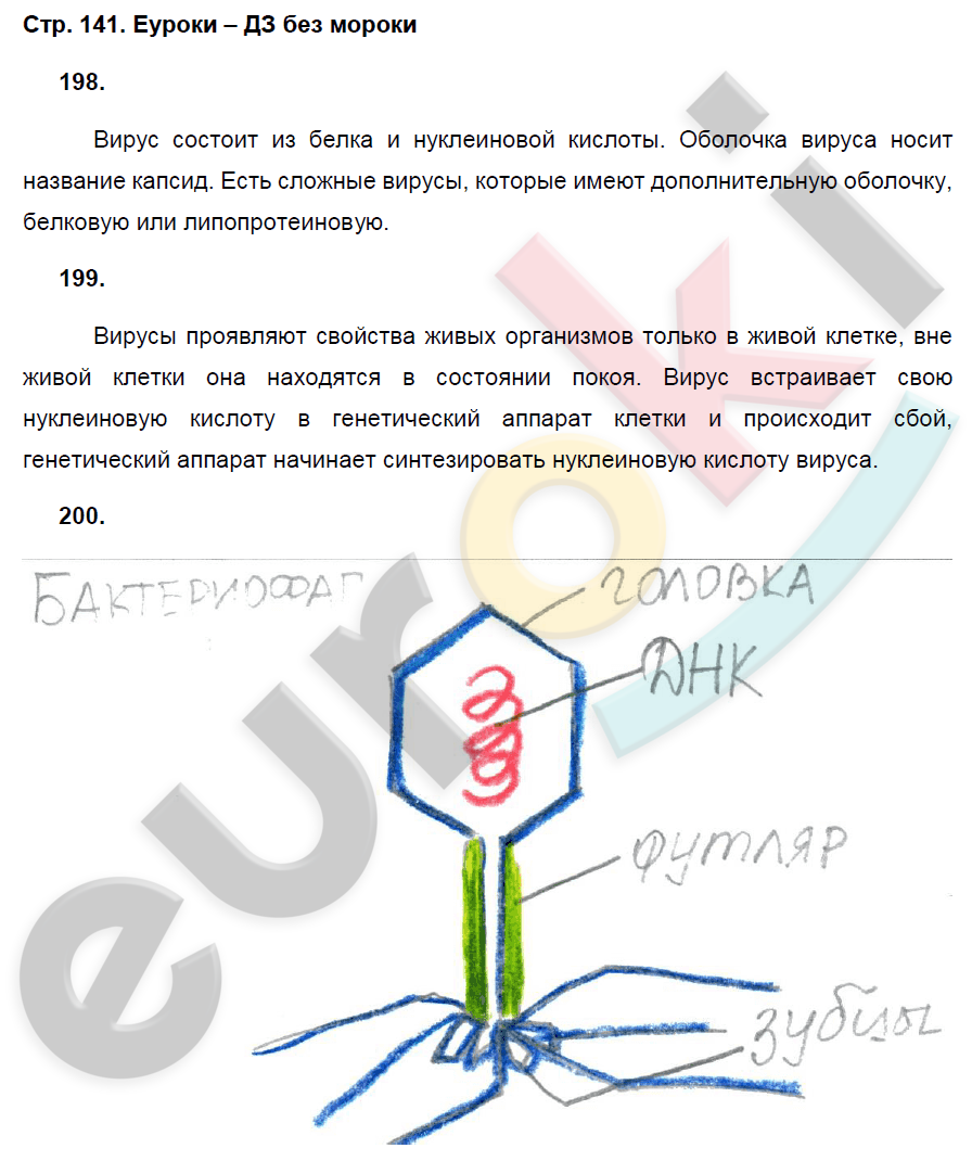 Рабочая тетрадь по биологии 7 класс. ФГОС Захаров, Сонин Страница 141