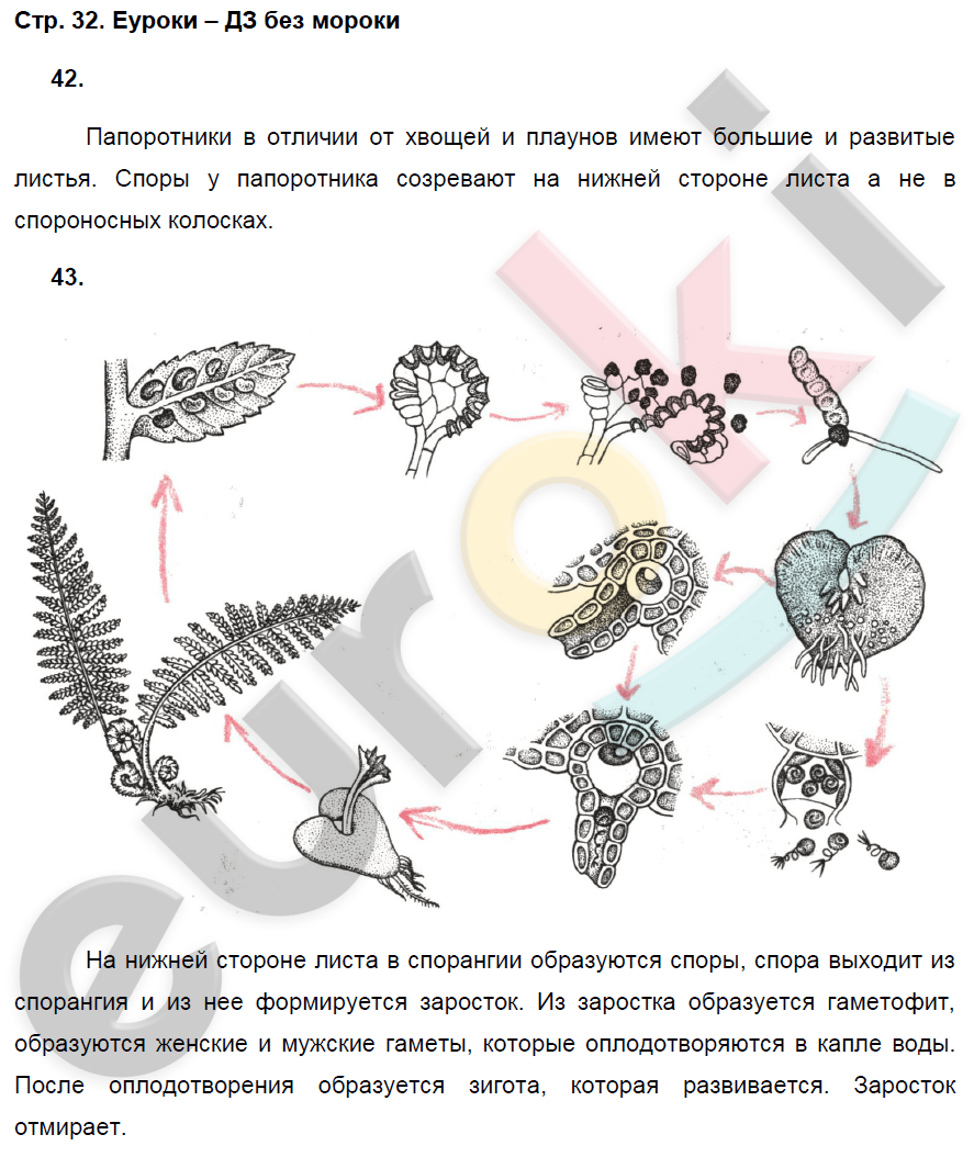 Рабочая тетрадь по биологии 7 класс. ФГОС Захаров, Сонин Страница 32