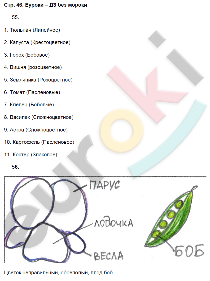 Рабочая тетрадь по биологии 7 класс. ФГОС Захаров, Сонин Страница 46