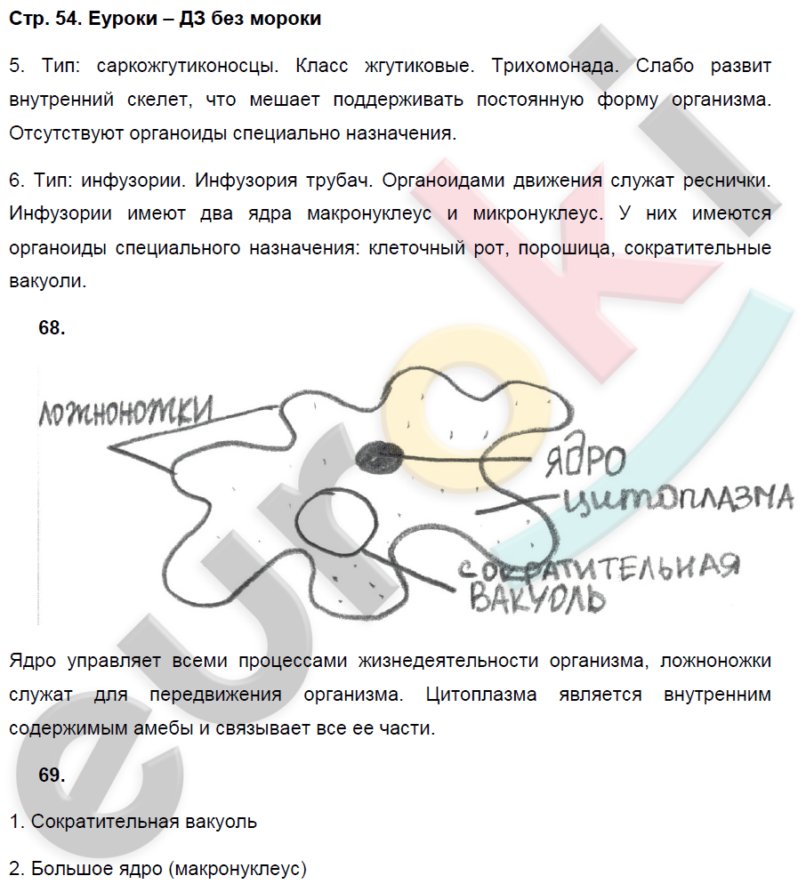 Рабочая тетрадь по биологии 7 класс. ФГОС Захаров, Сонин Страница 54