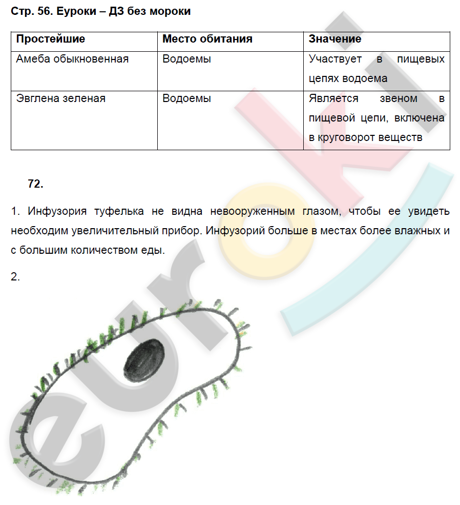 Рабочая тетрадь по биологии 7 класс. ФГОС Захаров, Сонин Страница 56