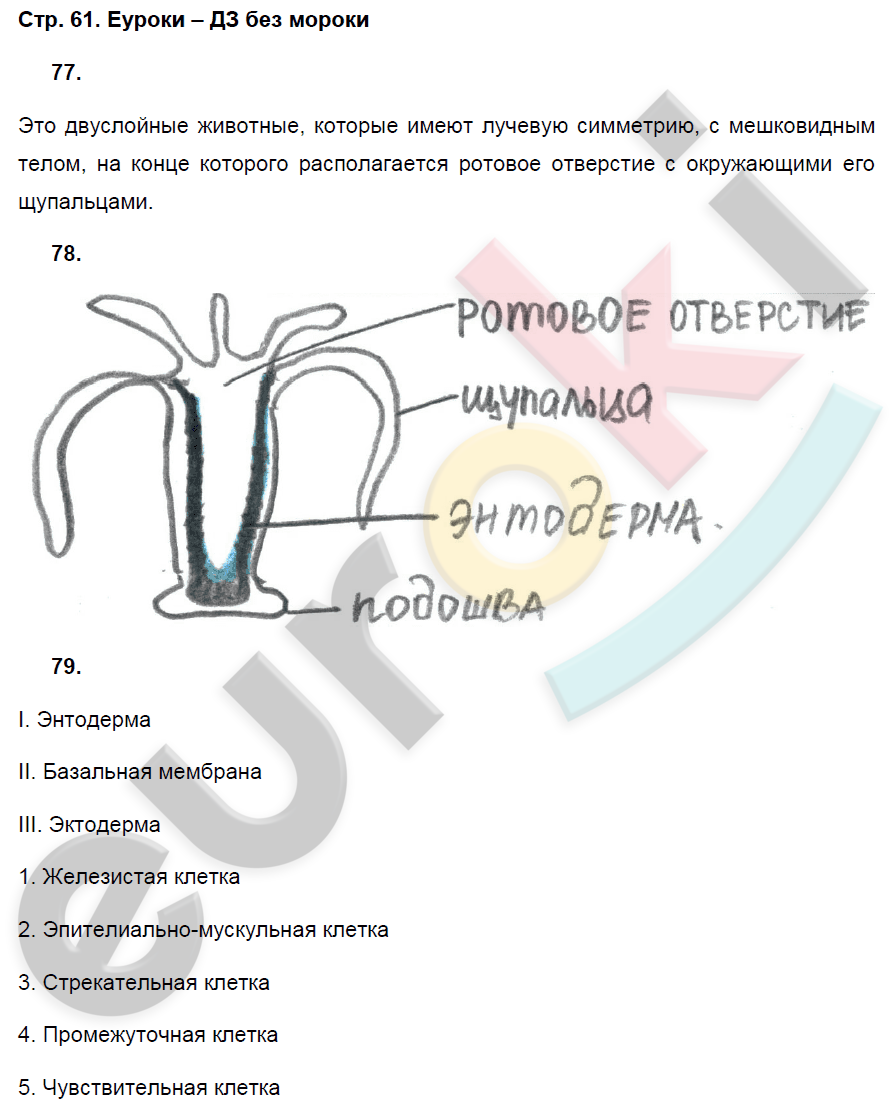 Рабочая тетрадь по биологии 7 класс. ФГОС Захаров, Сонин Страница 61