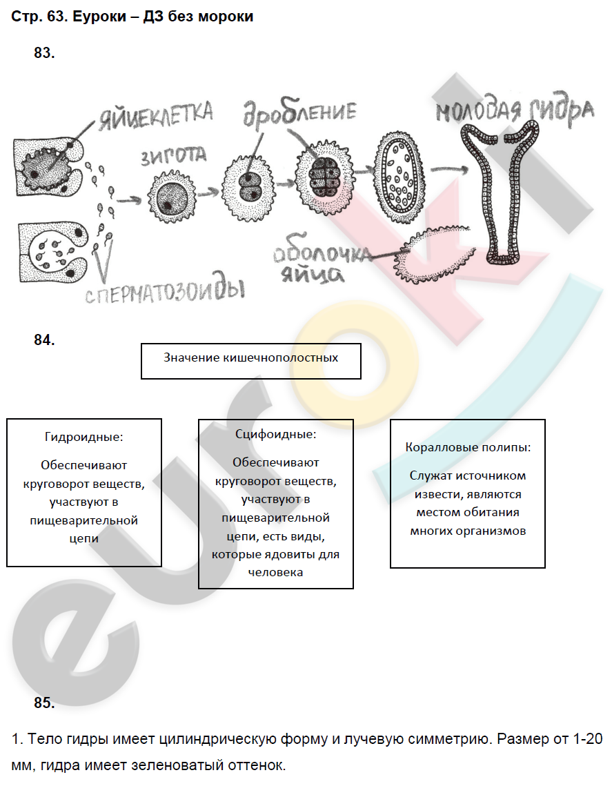 Рабочая тетрадь по биологии 7 класс. ФГОС Захаров, Сонин Страница 63