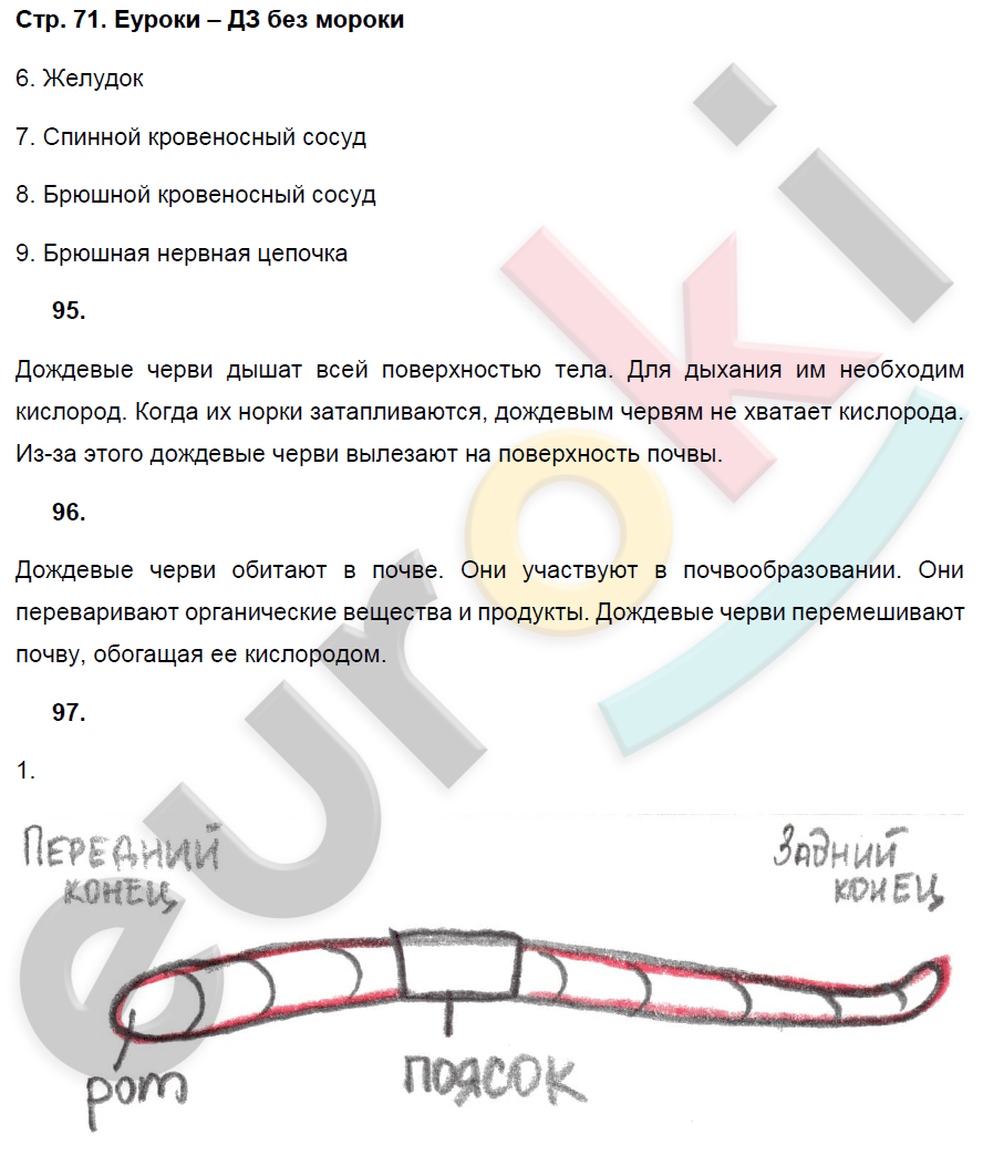 Рабочая тетрадь по биологии 7 класс. ФГОС Захаров, Сонин Страница 71