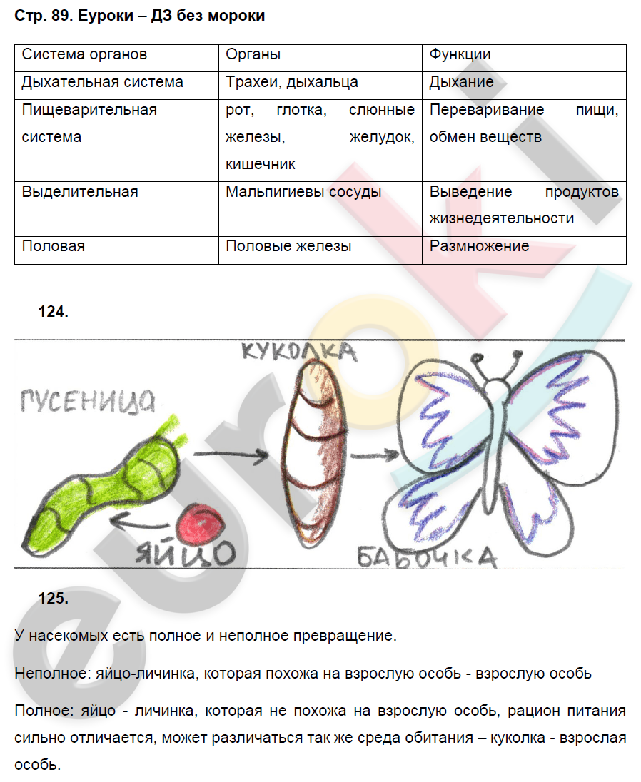 Рабочая тетрадь по биологии 7 класс. ФГОС Захаров, Сонин Страница 89