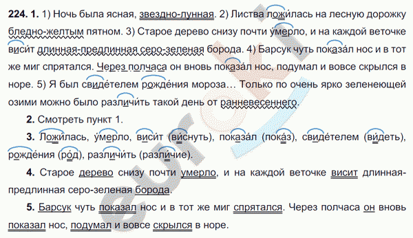 Русский язык второй класс упражнение 224. Ночь была Ясная звёздно Лунная. Ночь была Ясная звёздно Лунная листва ложилась на лесную дорожку. Полный синтаксический разбор всего опаснее были ясные , Звёздные ночи. Я подсёк и выбросил на берег крупного окуня синтаксический разбор.