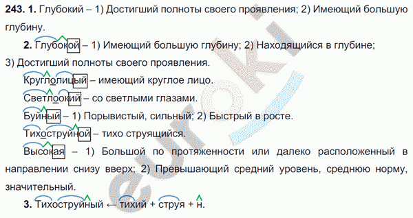 Упражнения 593 по русскому языку 6 класс. Русский язык 6 класс упражнение 593. Русский язык 6 класс упражнение 243.