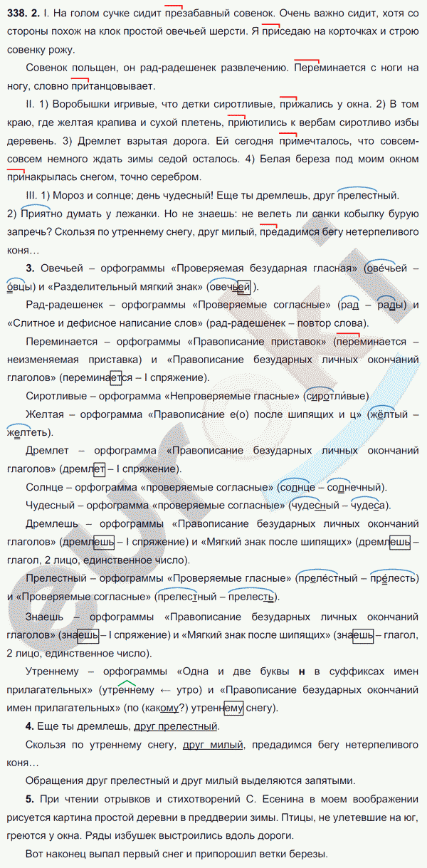 Русский язык 6 класс. ФГОС Разумовская Задание 338