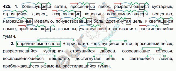 Русский язык 6 класс. ФГОС Разумовская Задание 425