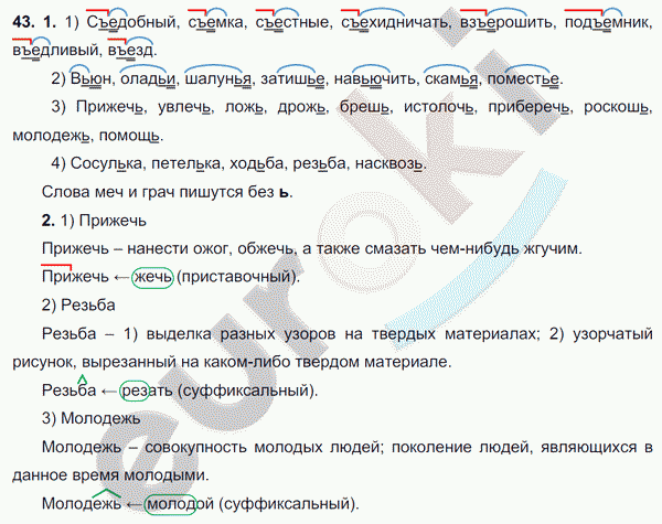 Русский язык 6 класс. ФГОС Разумовская Задание 43